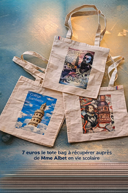 Tote bags créatifs en vente(1).png