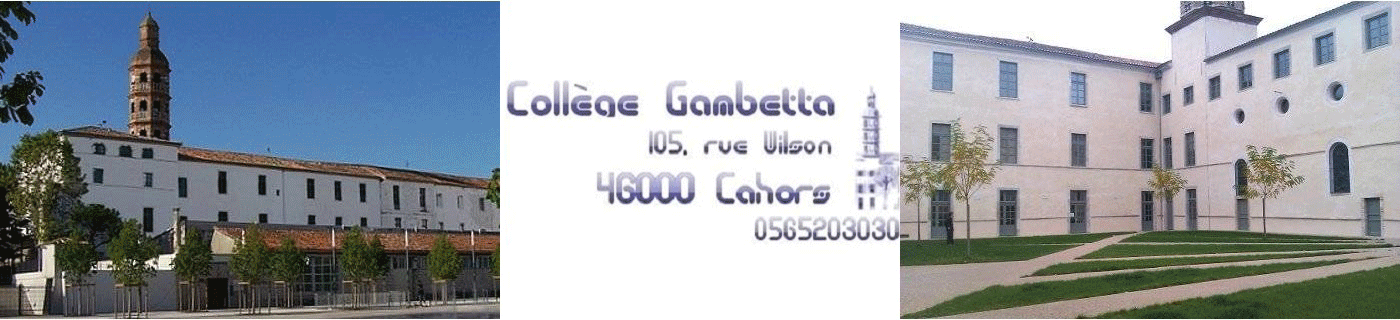 gambetta-reduit.gif